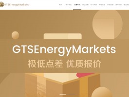 قرص صندوق الصرف الأجنبي التابع لـ GTSENERYERGYMARKETS ، يحل محله مراقب الشركة بشكل متكرر!تداخل