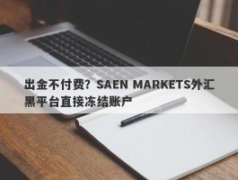 出金不付费？SAEN MARKETS外汇黑平台直接冻结账户